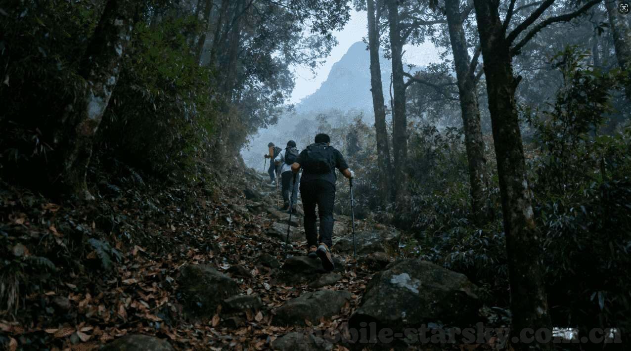 世界杯半全场历史-世界杯半全场历史,一场激情与策略的盛宴